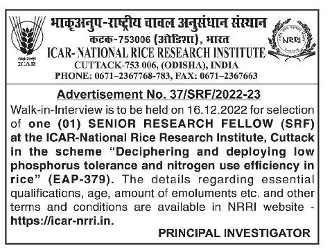 Odisha Jobs Walk In At Icar Nrri Ctc Dec