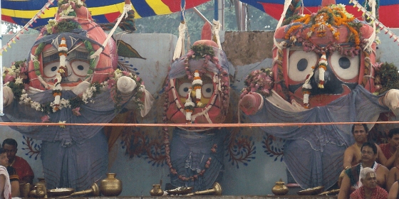 Snana Jatra Of Puri Lord Shree Jagannth, Odisha