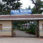 Tribal Museum Bhubaneswar